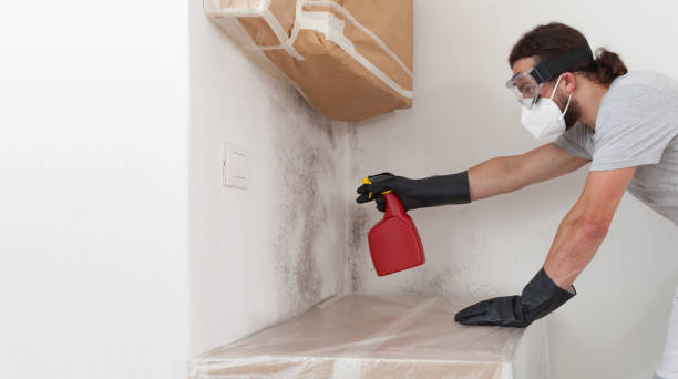 Professional Attic Mold Remediation technician working in Oldtown, MD