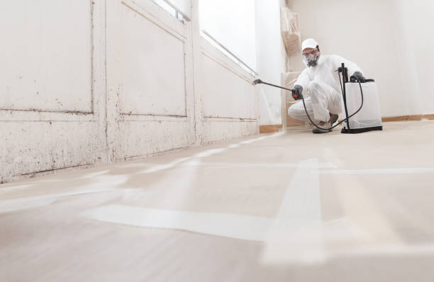24/7 Emergency Attic Mold Remediation experts in Oldtown, MD