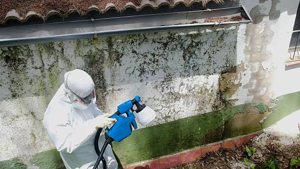 Top rated local Attic Mold Remediation specialists in Oldtown, MD